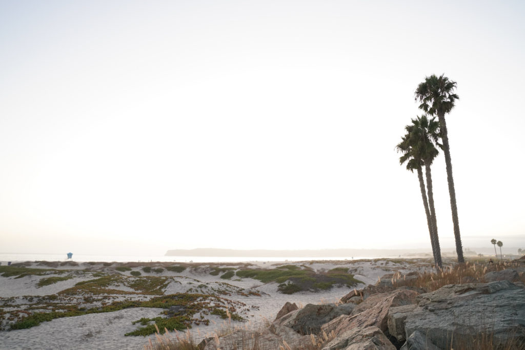 Coronado Beach at Dusk